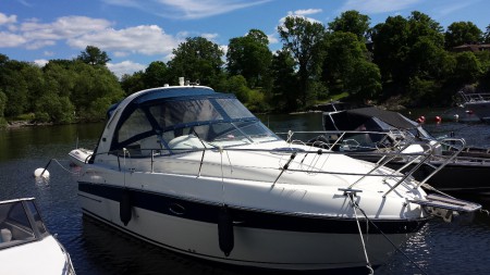 Vår hemmahamn på Djurgården